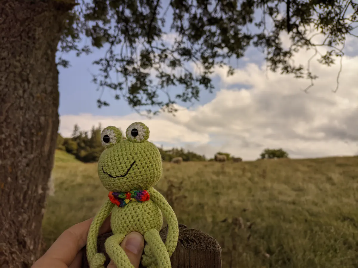 Taget lørdag den 24. august 2024, 10.46